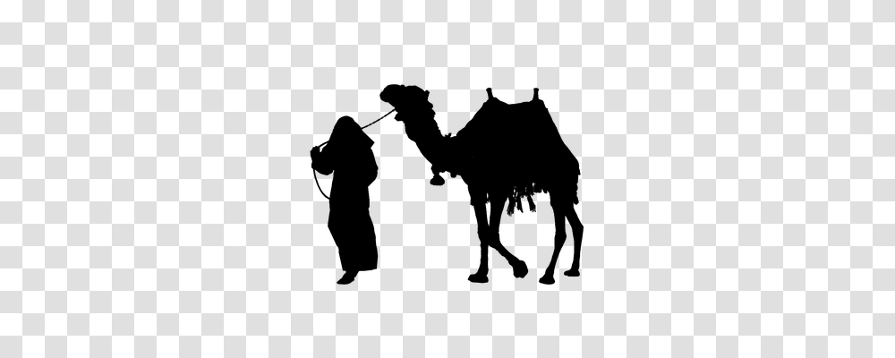 Camel Person, Gray, World Of Warcraft Transparent Png