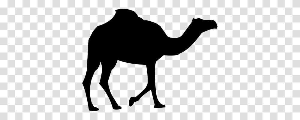 Camel Animals, Gray, World Of Warcraft Transparent Png