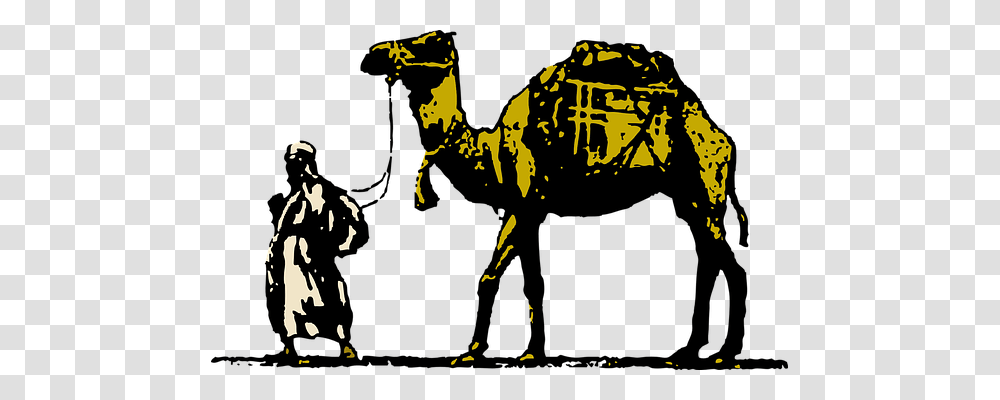 Camel Holiday Transparent Png