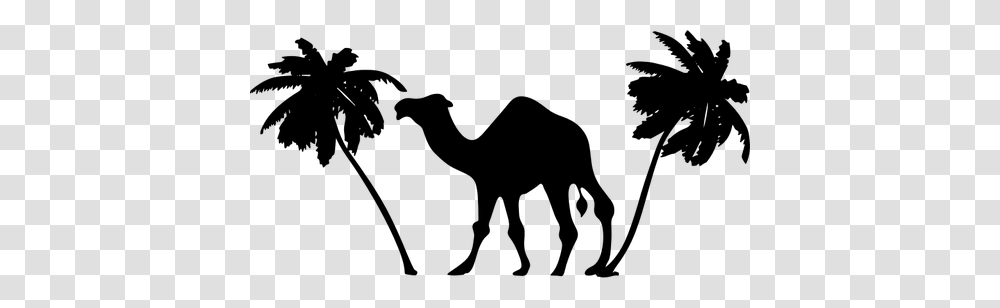 Camel And Palm Trees, Gray, World Of Warcraft Transparent Png