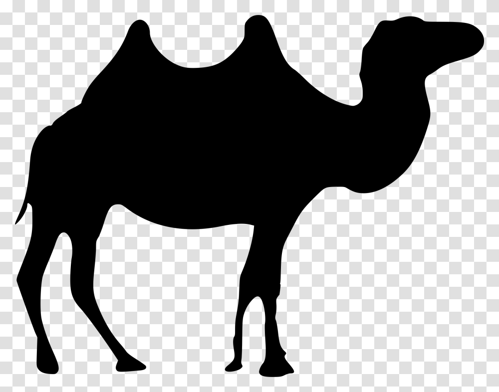 Camel Black And White Camel Black And White, Gray, World Of Warcraft Transparent Png