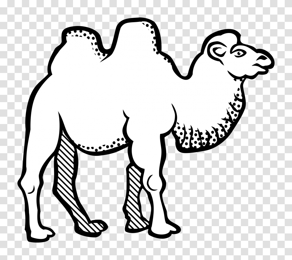 Camel Black And White Camel Black And White, Mammal, Animal Transparent Png