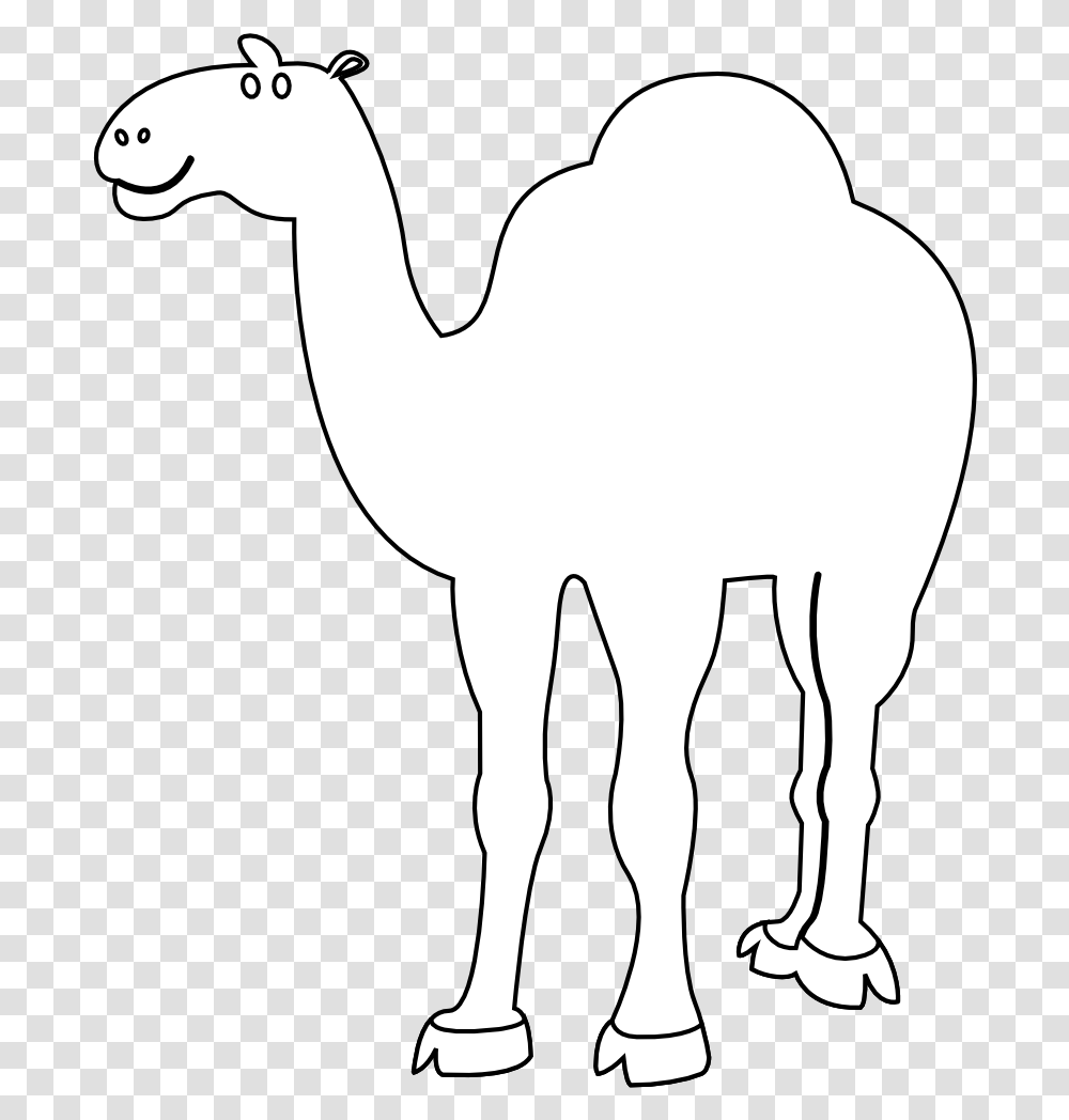 Camel Camel Black Background, Mammal, Animal Transparent Png