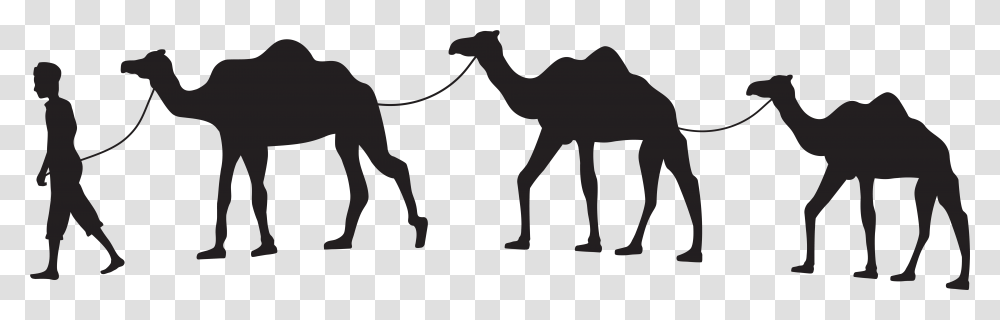 Camel Caravan Clip Art Camel Caravan, Mammal, Animal, Person, Human Transparent Png