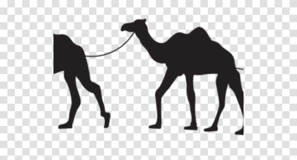 Camel Caravan Clipart Free Clip Art Stock Illustrations, Mammal, Animal Transparent Png