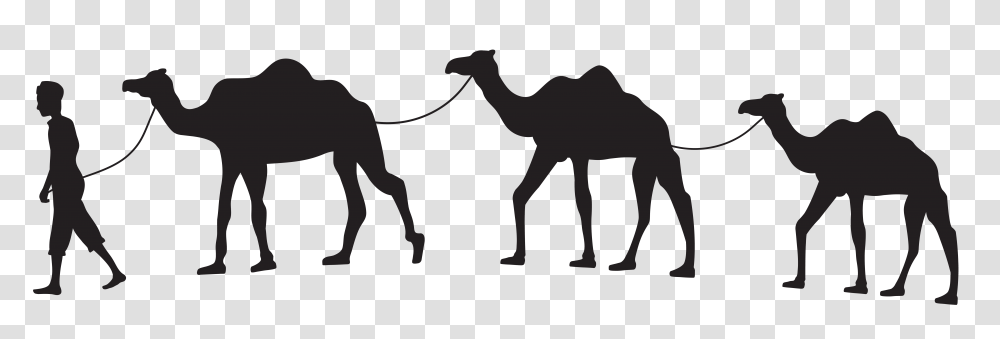 Camel Caravan Silhouette Clip, Gray, White Board, Word Transparent Png