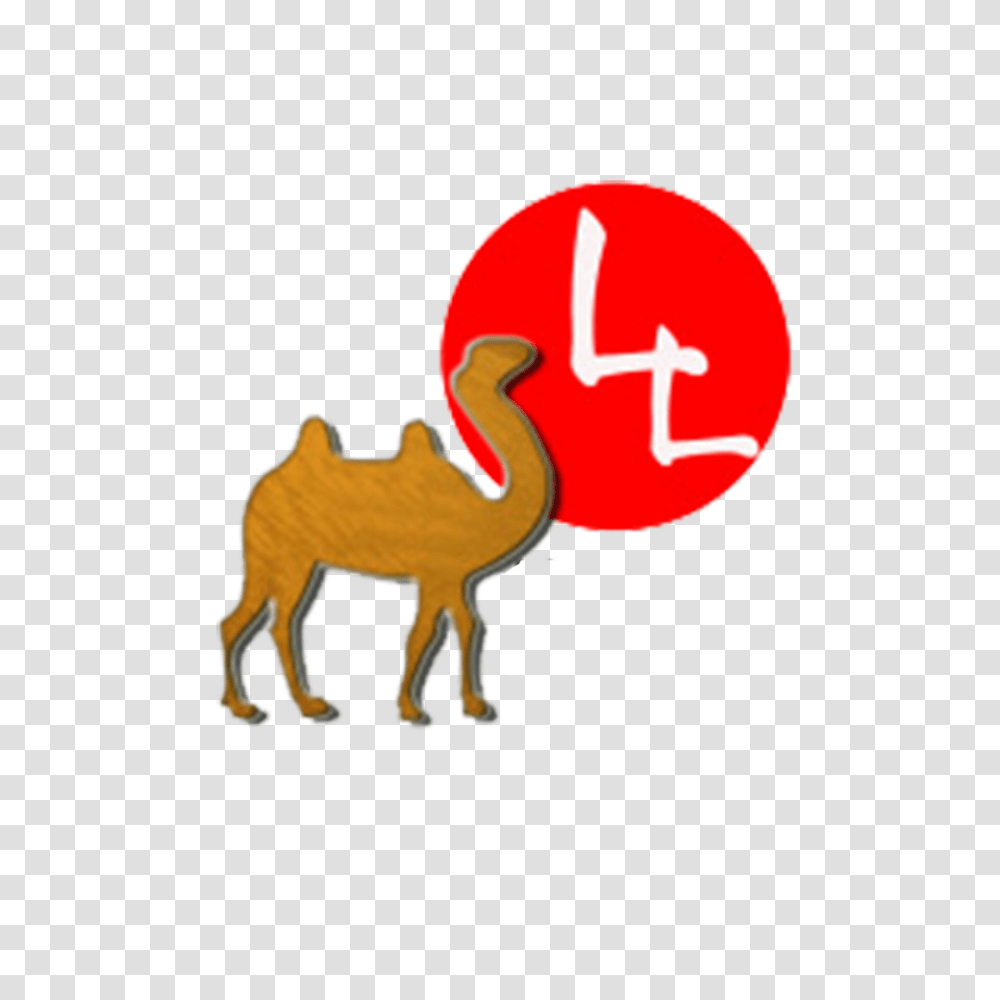 Camel Carnivora Clip Art, Animal, Mammal, Bird Transparent Png