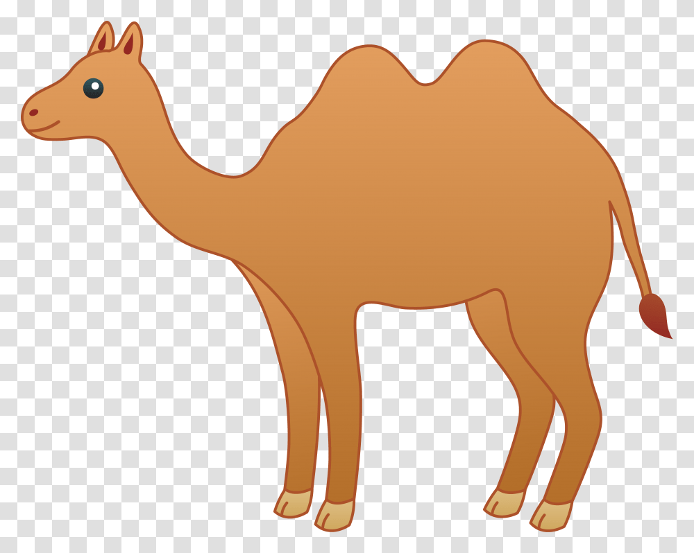 Camel Cartoon Clipart, Mammal, Animal Transparent Png