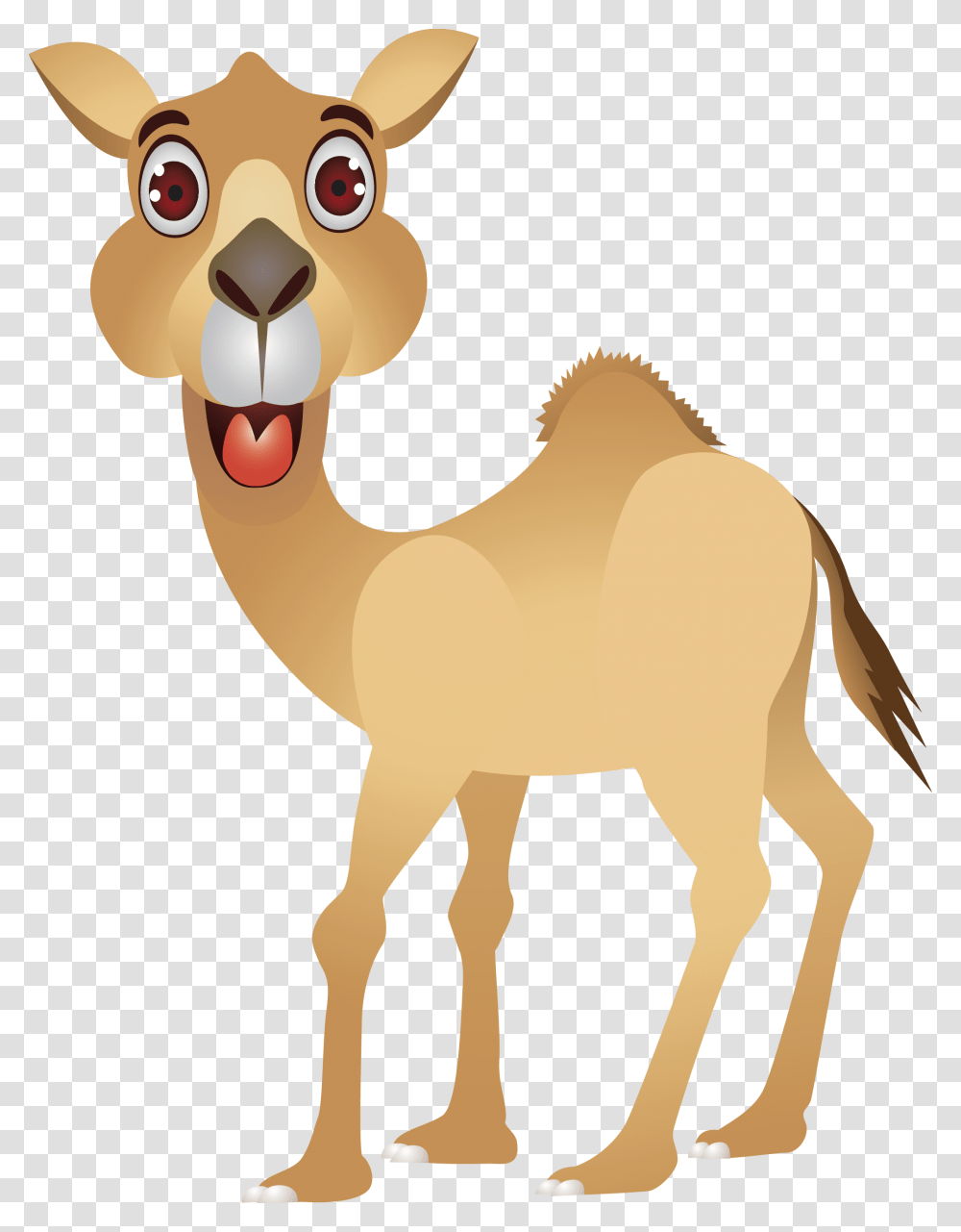 Camel Cartoon Humour Clip Art Cartoon Camel Images Free, Animal, Mammal Transparent Png