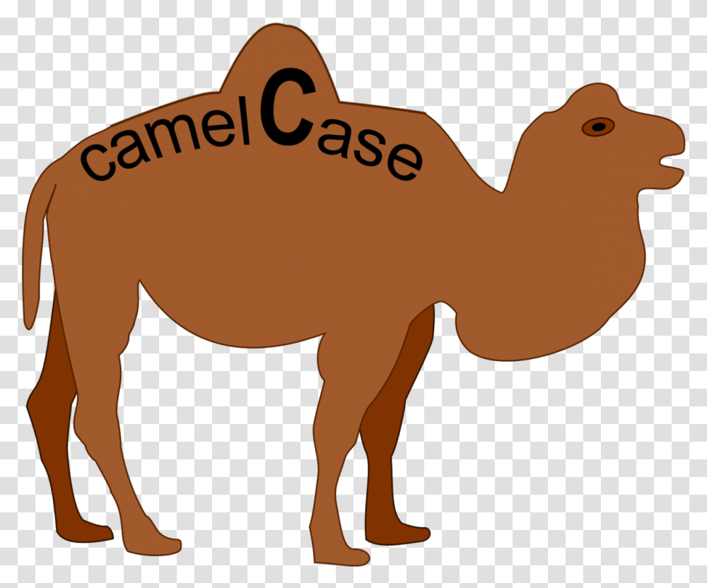 Camel Case Camel Case Examples, Mammal, Animal, Horse Transparent Png