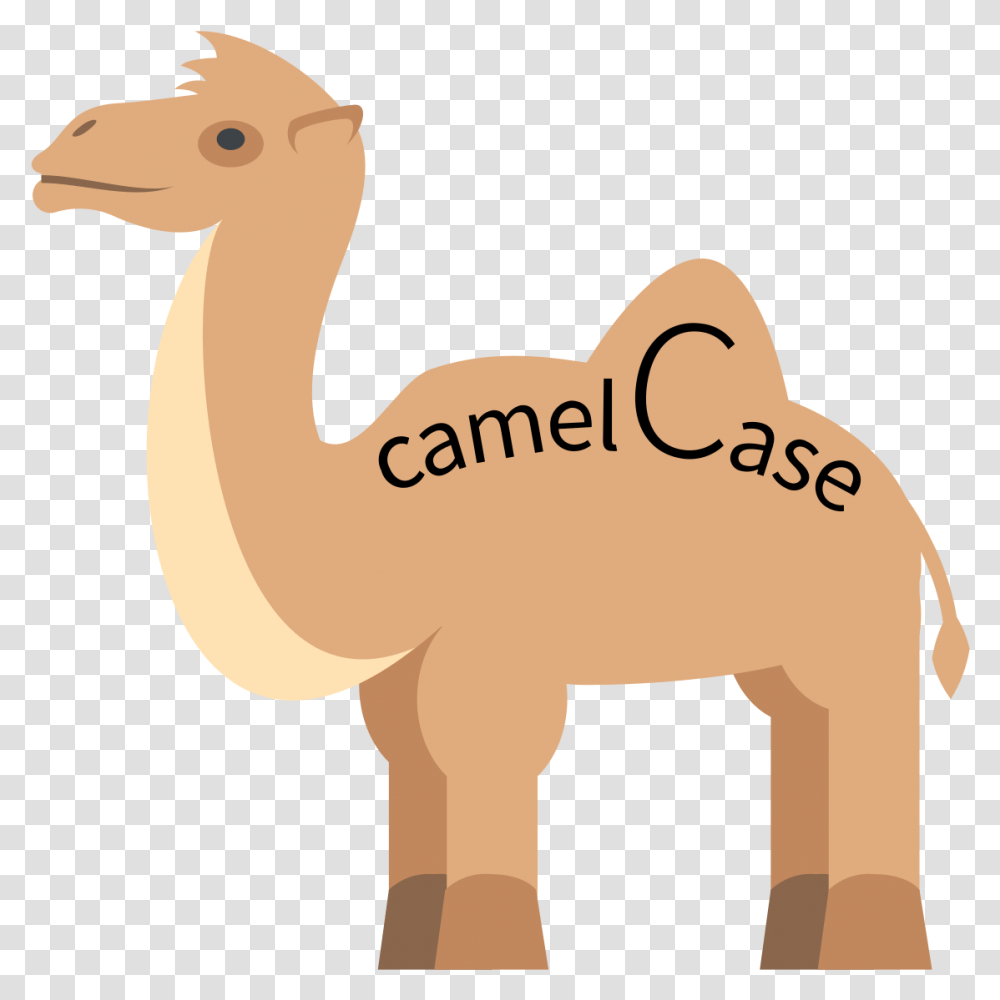 Camel Case In Programming, Mammal, Animal Transparent Png