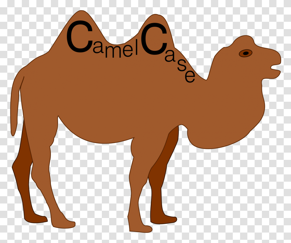 Camel Case, Mammal, Animal, Horse Transparent Png