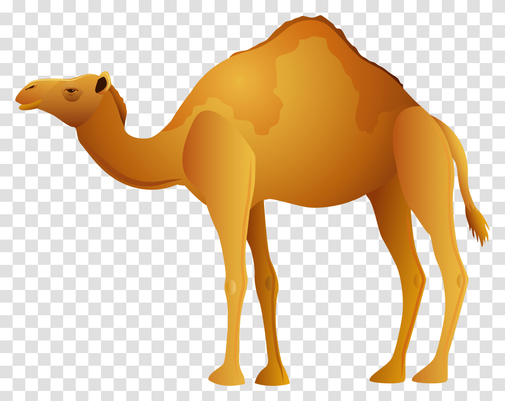 Camel Clip Art Background, Mammal, Animal Transparent Png