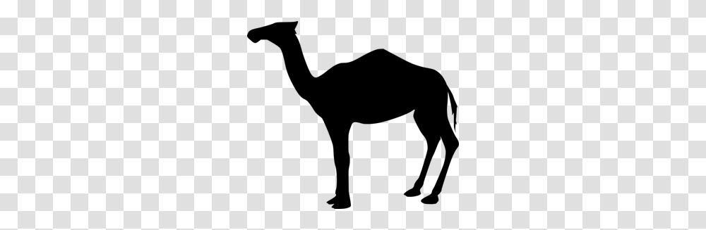 Camel Clip Art Free, Gray, World Of Warcraft Transparent Png