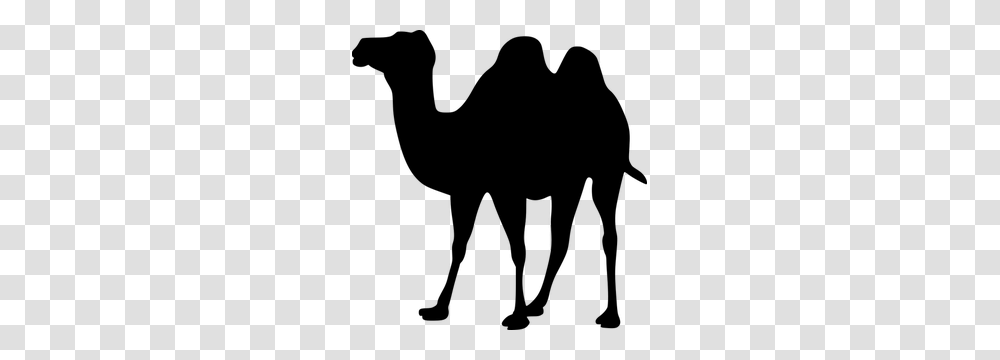 Camel Clip Art Free, Gray, World Of Warcraft Transparent Png