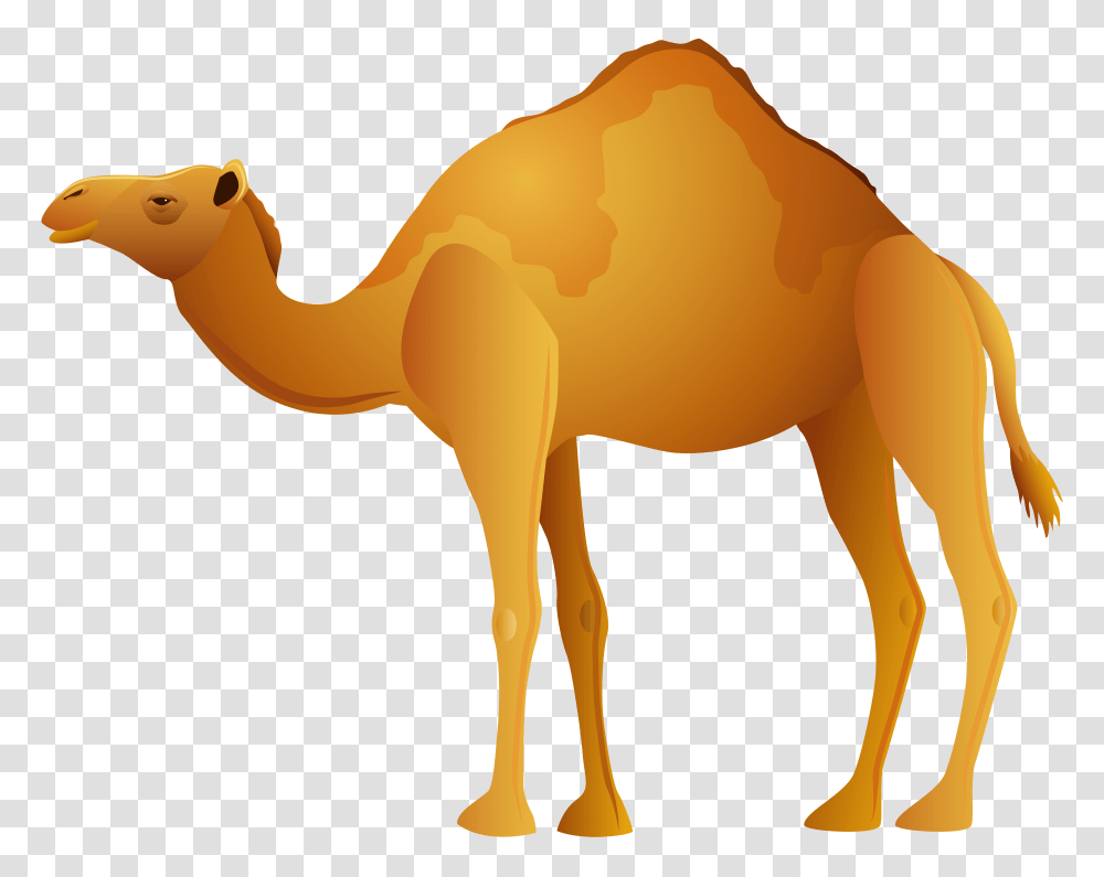 Camel Clip Art, Mammal, Animal, Wildlife, Elephant Transparent Png