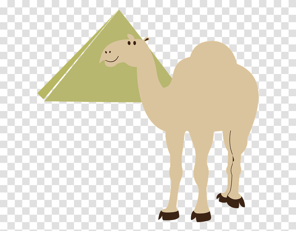 Camel Clipart Background, Mammal, Animal, Bird Transparent Png