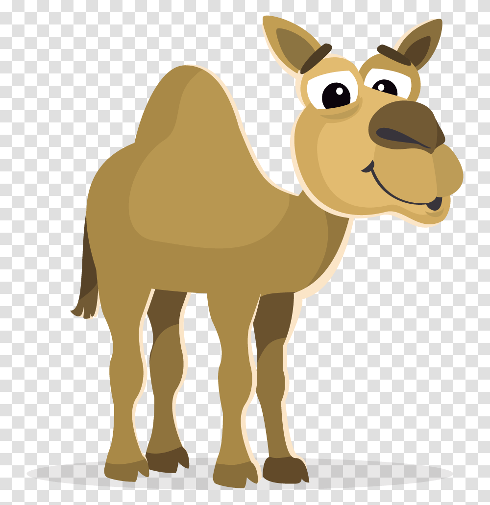 Camel Clipart Cartoon Zoo Animals, Mammal Transparent Png