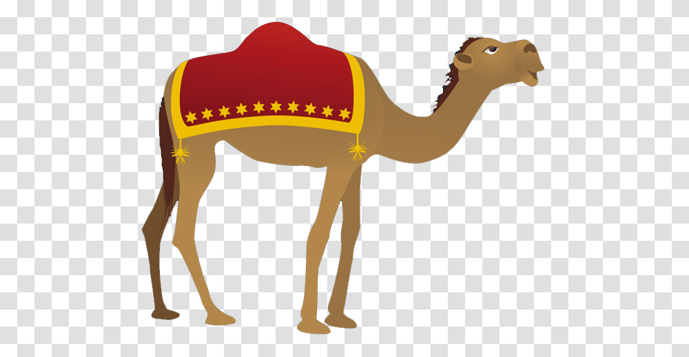 Camel Clipart, Mammal, Animal, Blow Dryer, Appliance Transparent Png