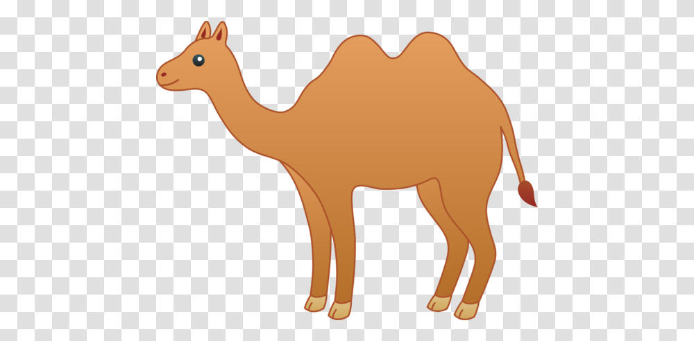 Camel Clipart She, Mammal, Animal Transparent Png