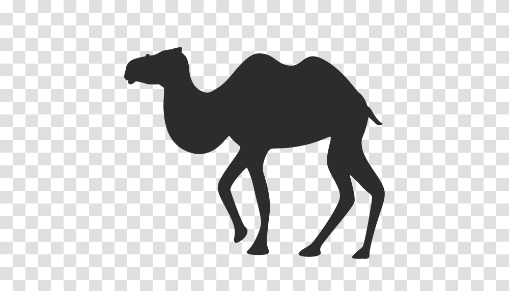 Camel Desert Hump Icon With And Vector Format For Free, Mammal, Animal, Horse Transparent Png