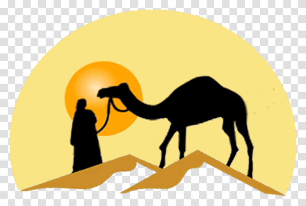 Camel Desert, Mammal, Animal, Person, Human Transparent Png