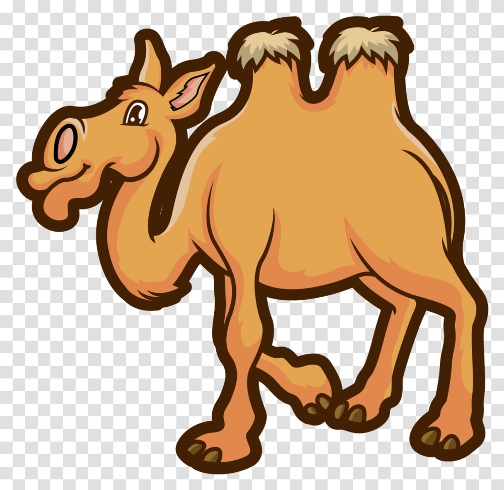 Camel Domestic Animal Mammal Transparent Png