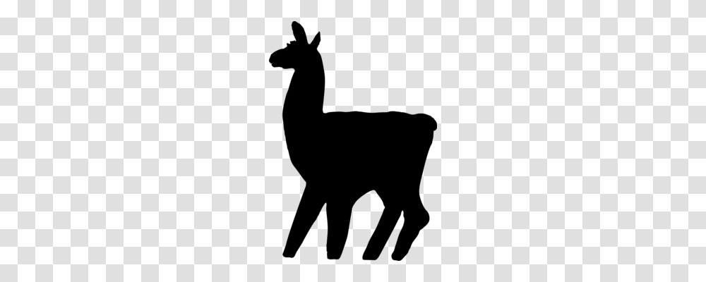 Camel Drawing Camera Silhouette, Gray, World Of Warcraft Transparent Png