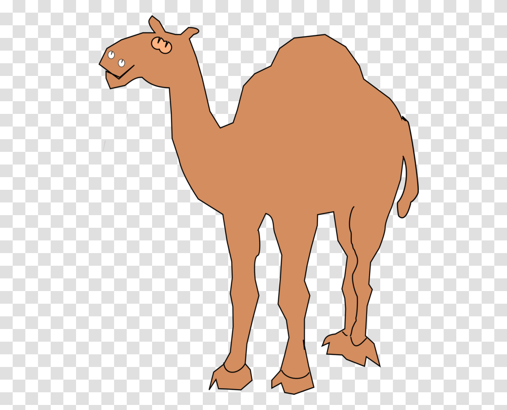 Camel Drawing Camera Silhouette, Mammal, Animal, Person, Human Transparent Png