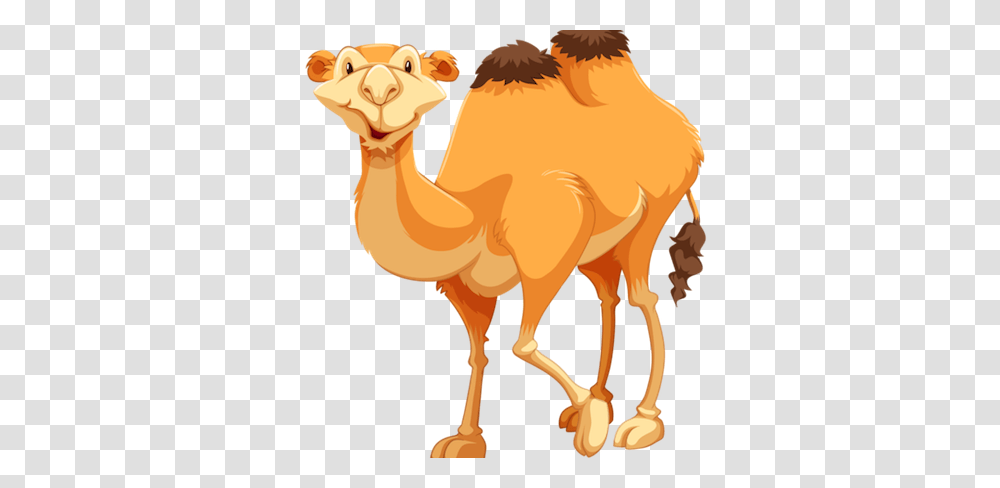 Camel Drawing Clip Art, Animal, Mammal Transparent Png