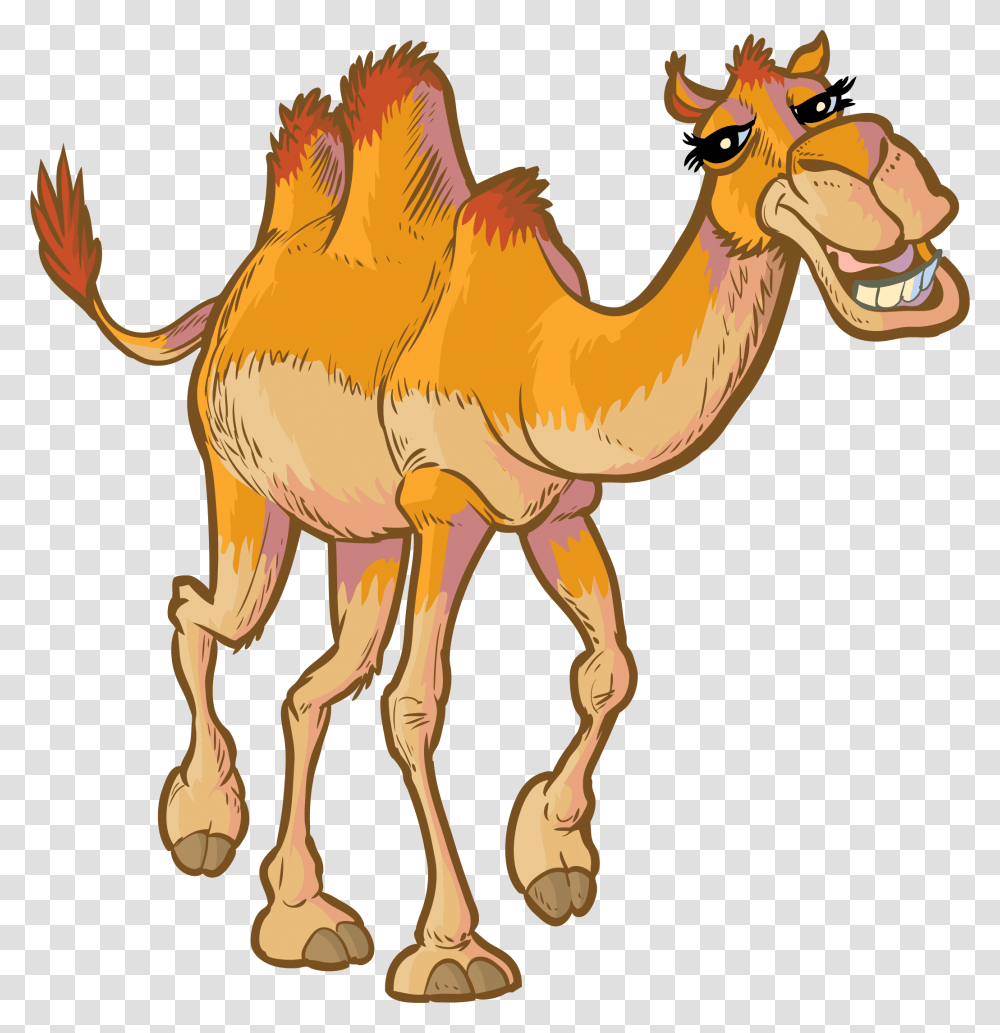 Camel Face Cartoon, Mammal, Animal, Horse Transparent Png