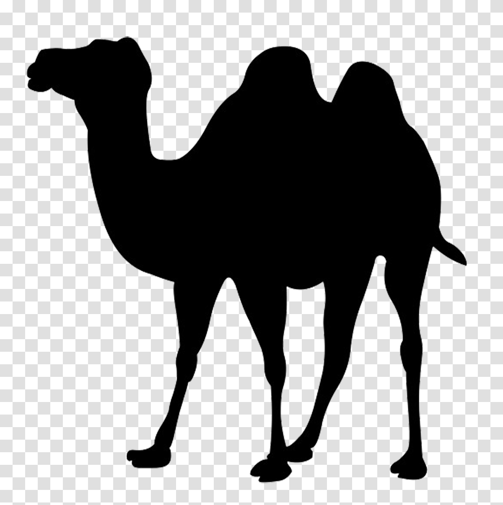 Camel Football Cliparts, Mammal, Animal, Antelope, Wildlife Transparent Png