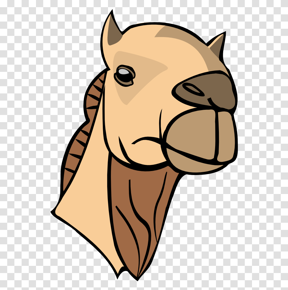 Camel Head Camel Clipart Head, Animal, Mammal, Drawing Transparent Png