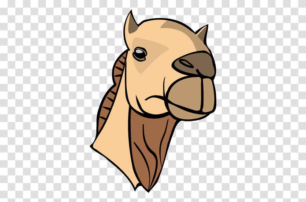 Camel Head Clip Art Free Vector, Animal, Mammal, Cushion, Drawing Transparent Png
