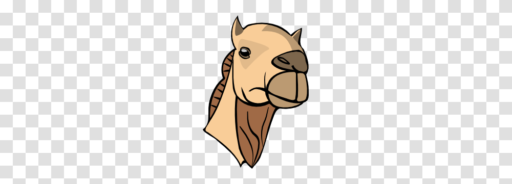 Camel Head Clip Art Free Vector, Animal, Mammal, Warthog, Wildlife Transparent Png