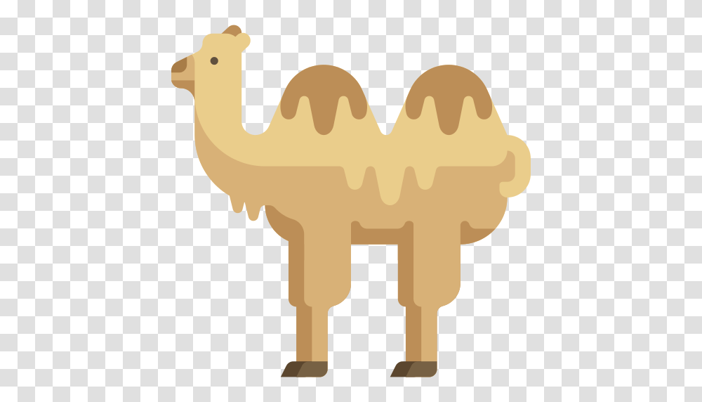 Camel Icon, Mammal, Animal Transparent Png