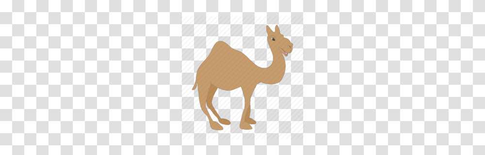 Camel Like Mammal Clipart, Animal Transparent Png