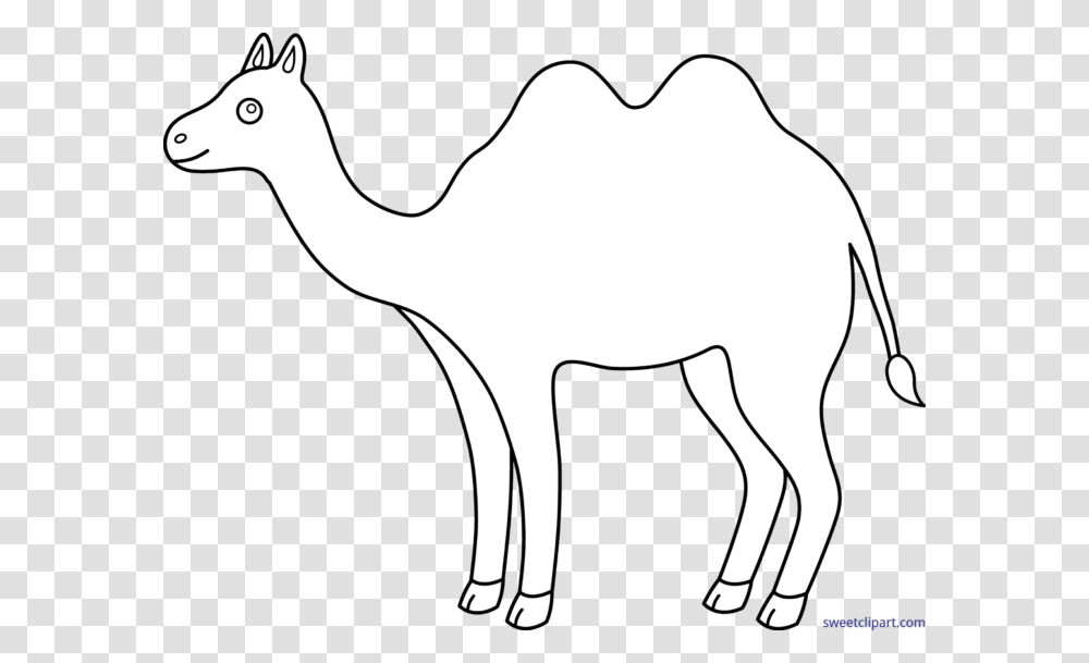 Camel Lineart Clip Art, Mammal, Animal Transparent Png