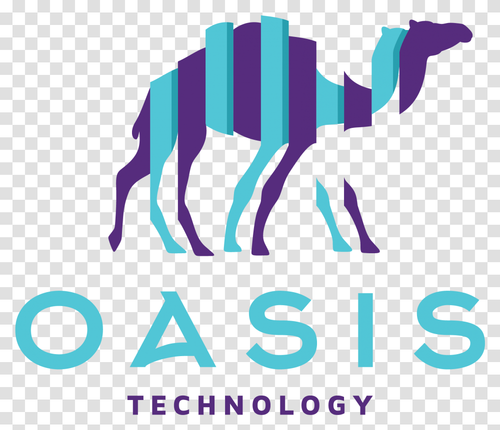 Camel Logos Design, Trademark, Mammal Transparent Png