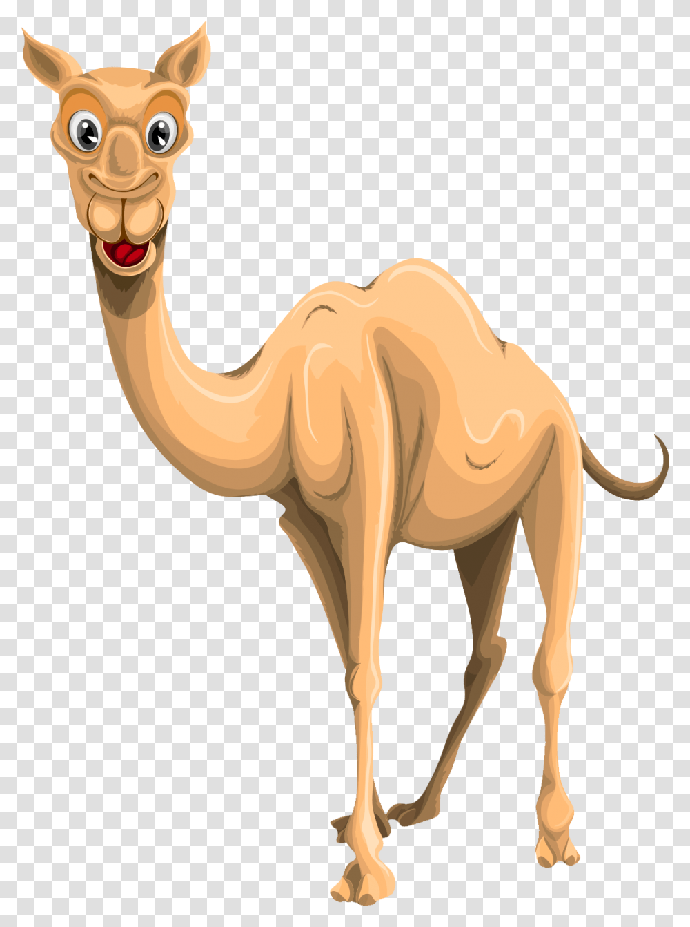 Camel, Mammal, Animal, Antelope, Wildlife Transparent Png