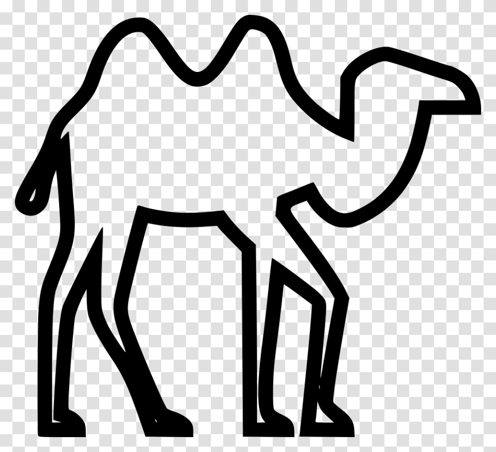 Camel, Mammal, Animal, Antelope, Wildlife Transparent Png