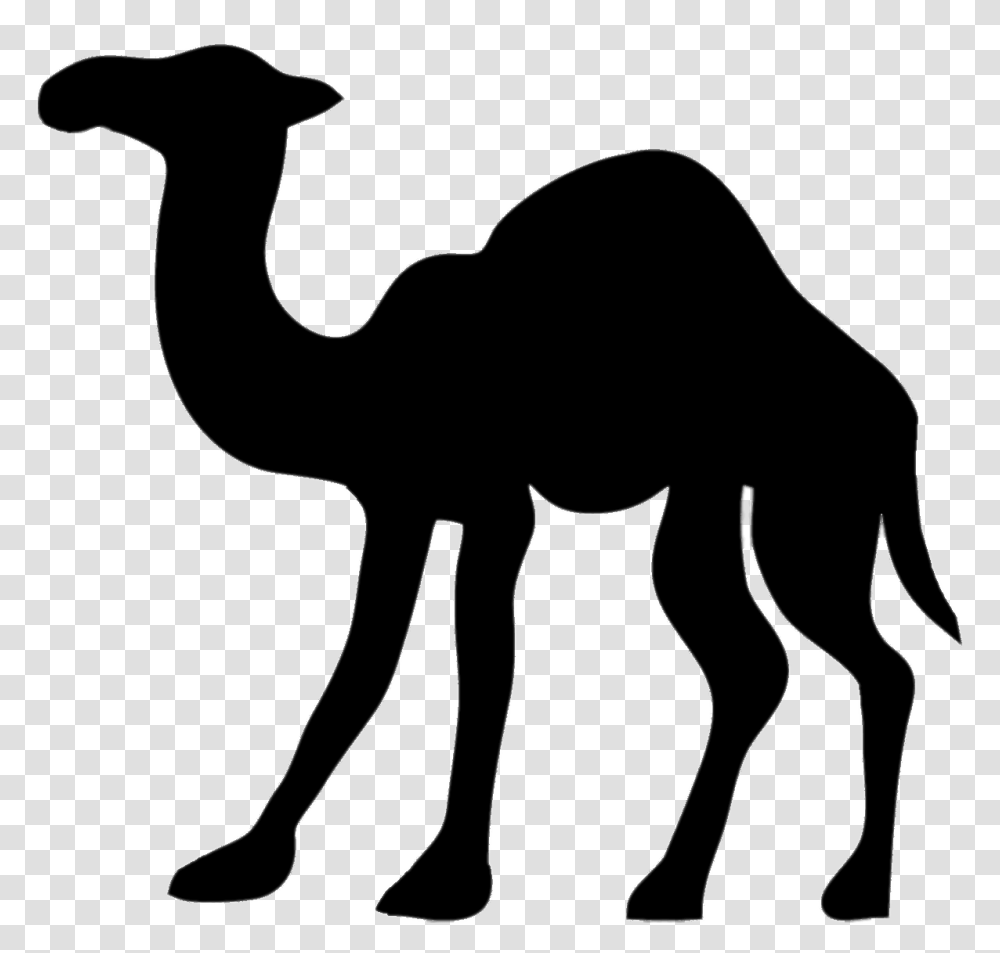 Camel, Mammal, Animal, Antelope, Wildlife Transparent Png