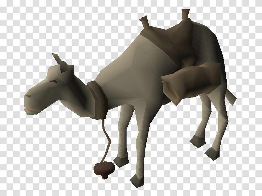 Camel, Mammal, Animal, Cross Transparent Png