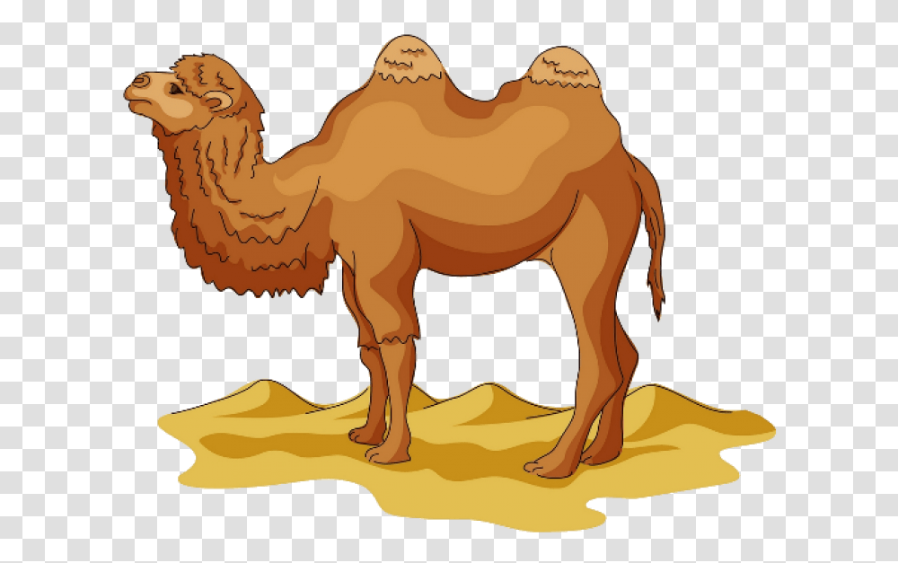 Camel, Mammal, Animal, Horse, Painting Transparent Png