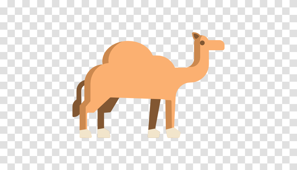 Camel, Mammal, Animal Transparent Png