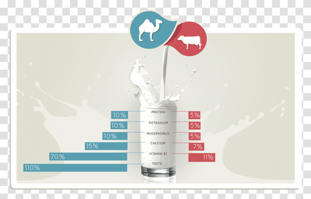 Camel Milk V Cow Milk Camel Milk Vs Cow Milk Nutrition, Beverage, Drink, Dairy, Cup Transparent Png