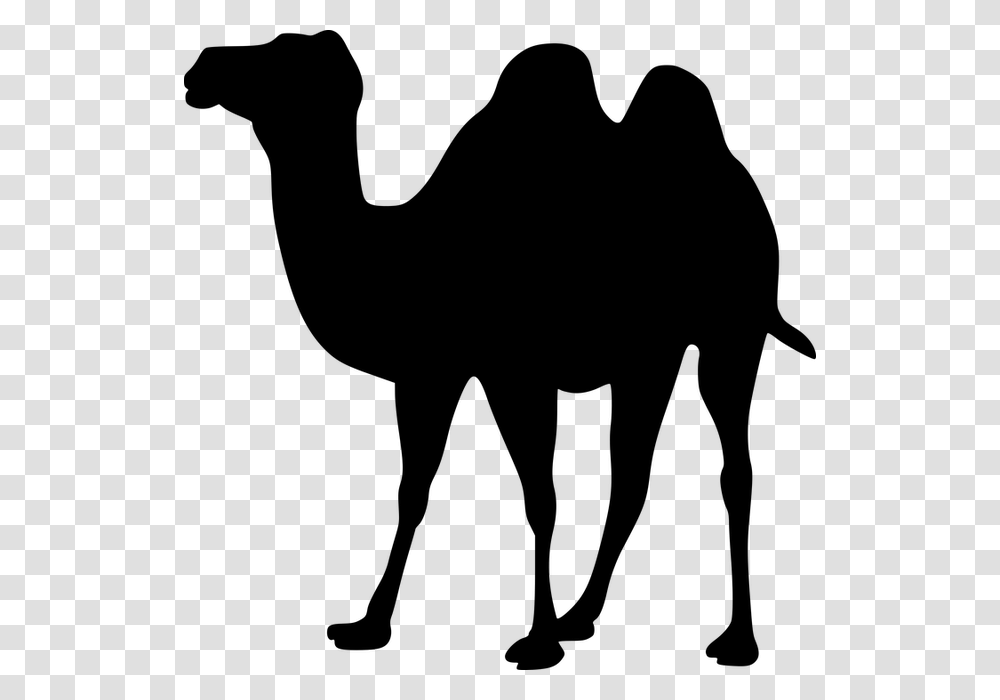 Camel Nomad Black Camel Clipart, Gray, World Of Warcraft Transparent Png