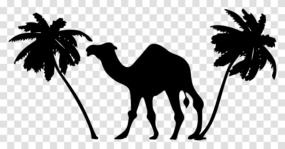 Camel Palm Trees Silhouette Clip Arts Camel Black And White, Gray, World Of Warcraft Transparent Png