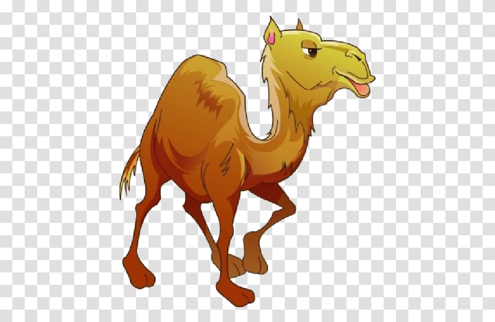 Camel Pngclipart 16 Free Download, Mammal, Animal, Horse Transparent Png
