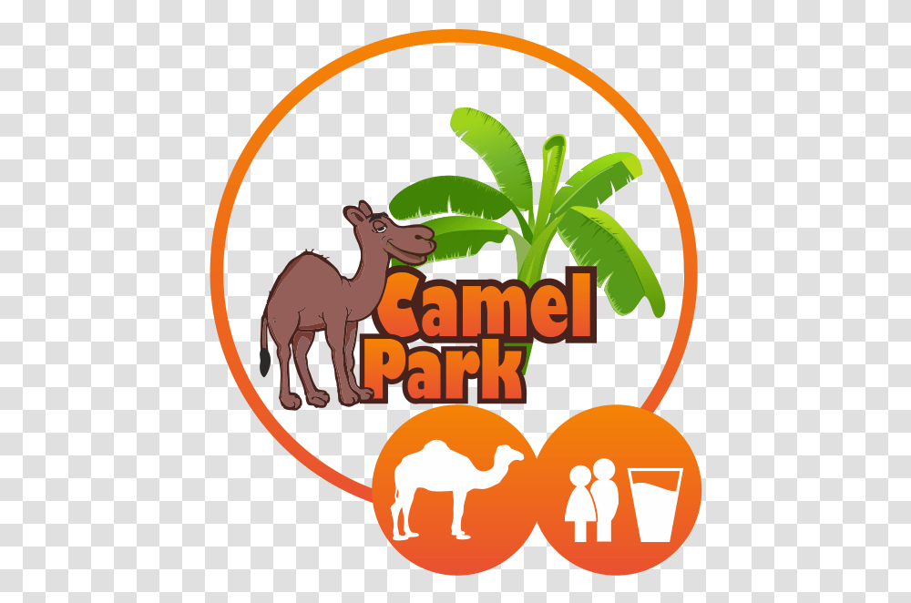 Camel Ride Appetizer, Poster, Advertisement, Animal, Mammal Transparent Png